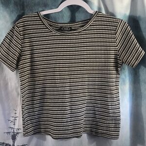 Fury Black and White Stripped Crop Top